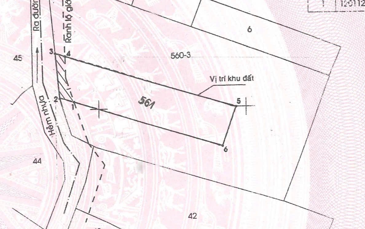 Bán đất đường 17, Linh Trung, Thủ Đức, cách Ga Metro và khu công nghệ cao chỉ vài trăm mét, giá 11.8 tỷ