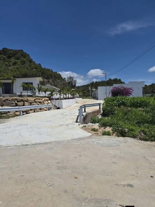 Bán đất Đà Lạt, giáp ngay rừng thông xanh mướt, không khí trong lành, xây nhà vườn hay homestay, giá 1,1 tỷ