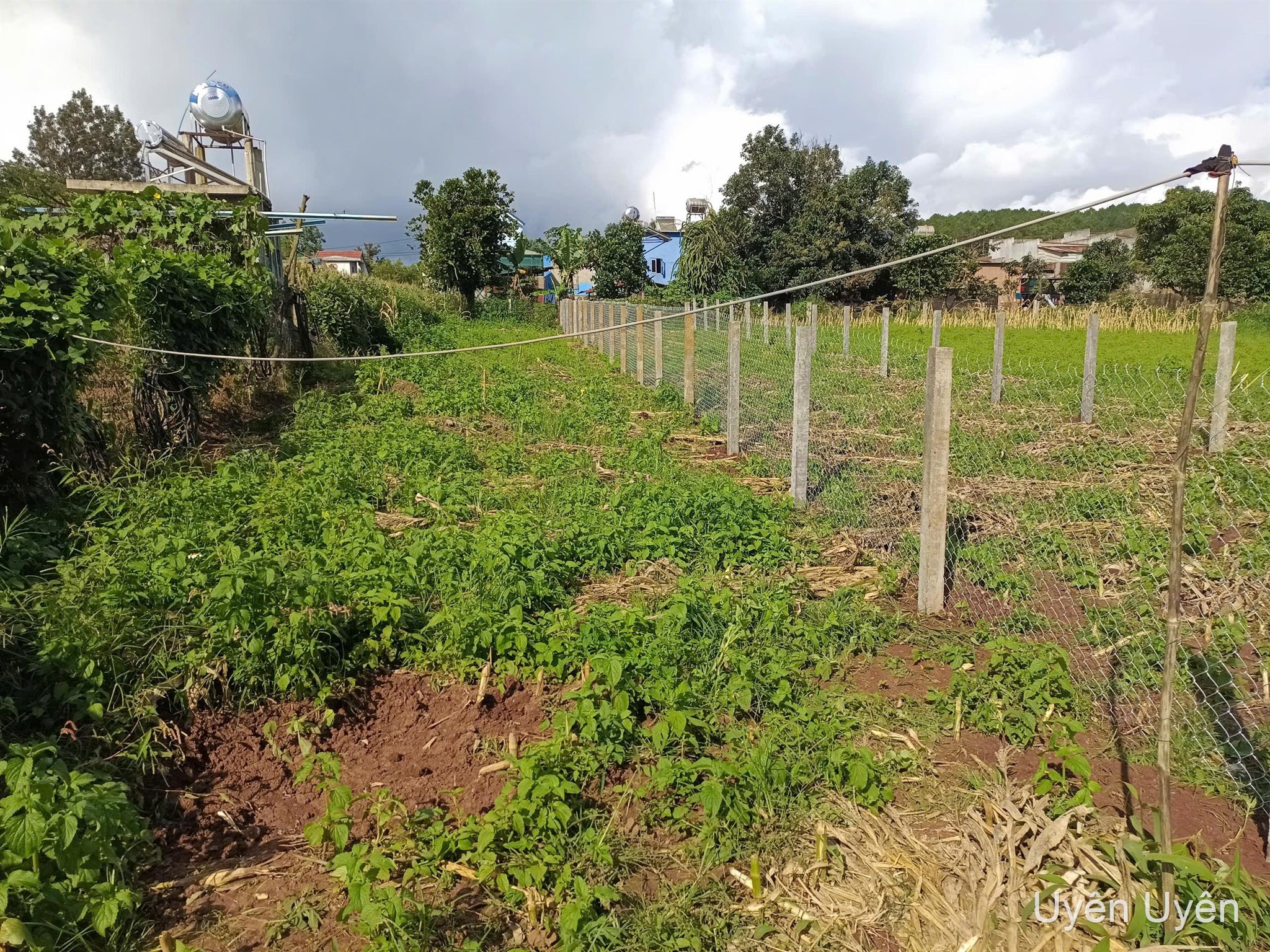 Bán đất tại xã Đơn Dương, Lâm Đồng, giá chỉ 450 triệu