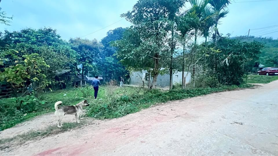 Bán đất Hòa Bình, 360m2 full thổ cư, giá 290 triệu