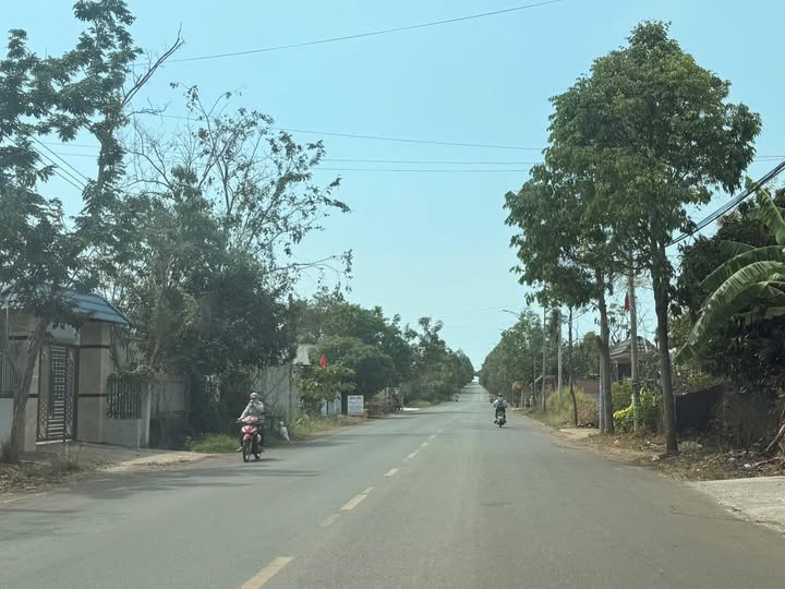 Bán gấp lô đất trồng cây lâu năm mặt tiền Hương Lộ 2, Tam Long, thành phố Hồ Chí Minh, giá 8.9 tỷ