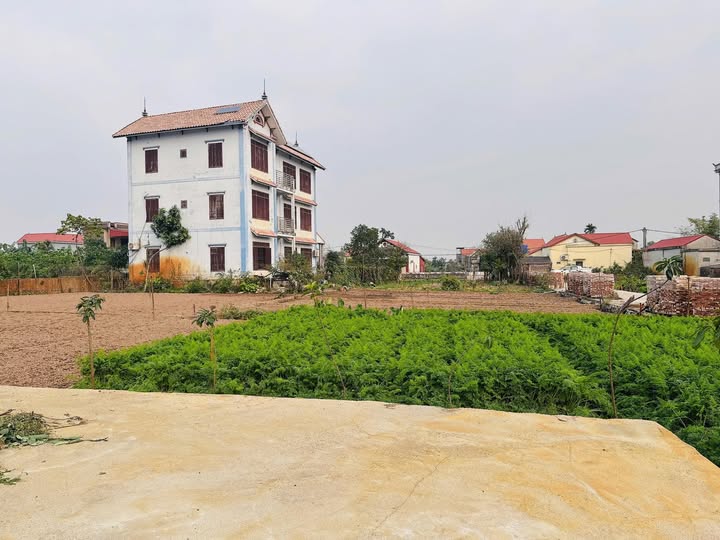 Bán 3 lô đất đẹp tại Nhất Trai, Minh Tân, Lương Tài, Bắc Ninh, giá 1.2 tỷ