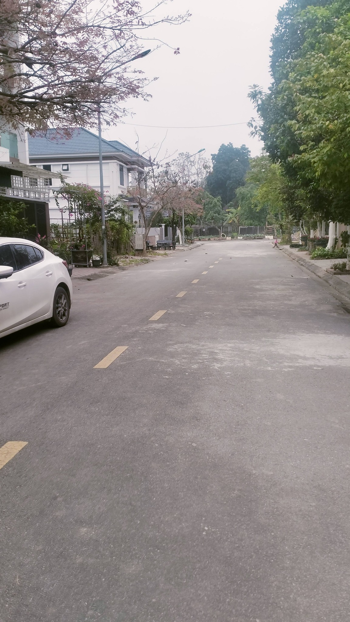 Bán đất 85m2, mặt tiền 5m, full thổ cư thuộc phường Thanh Miếu, Việt Trì, Phú Thọ