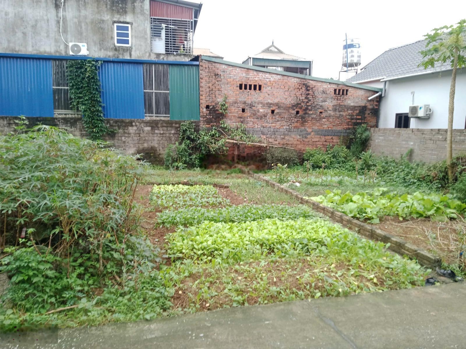 Cần bán đất đô thị trung tâm thị xã Sơn Tây chỉ hơn 1 tỷ