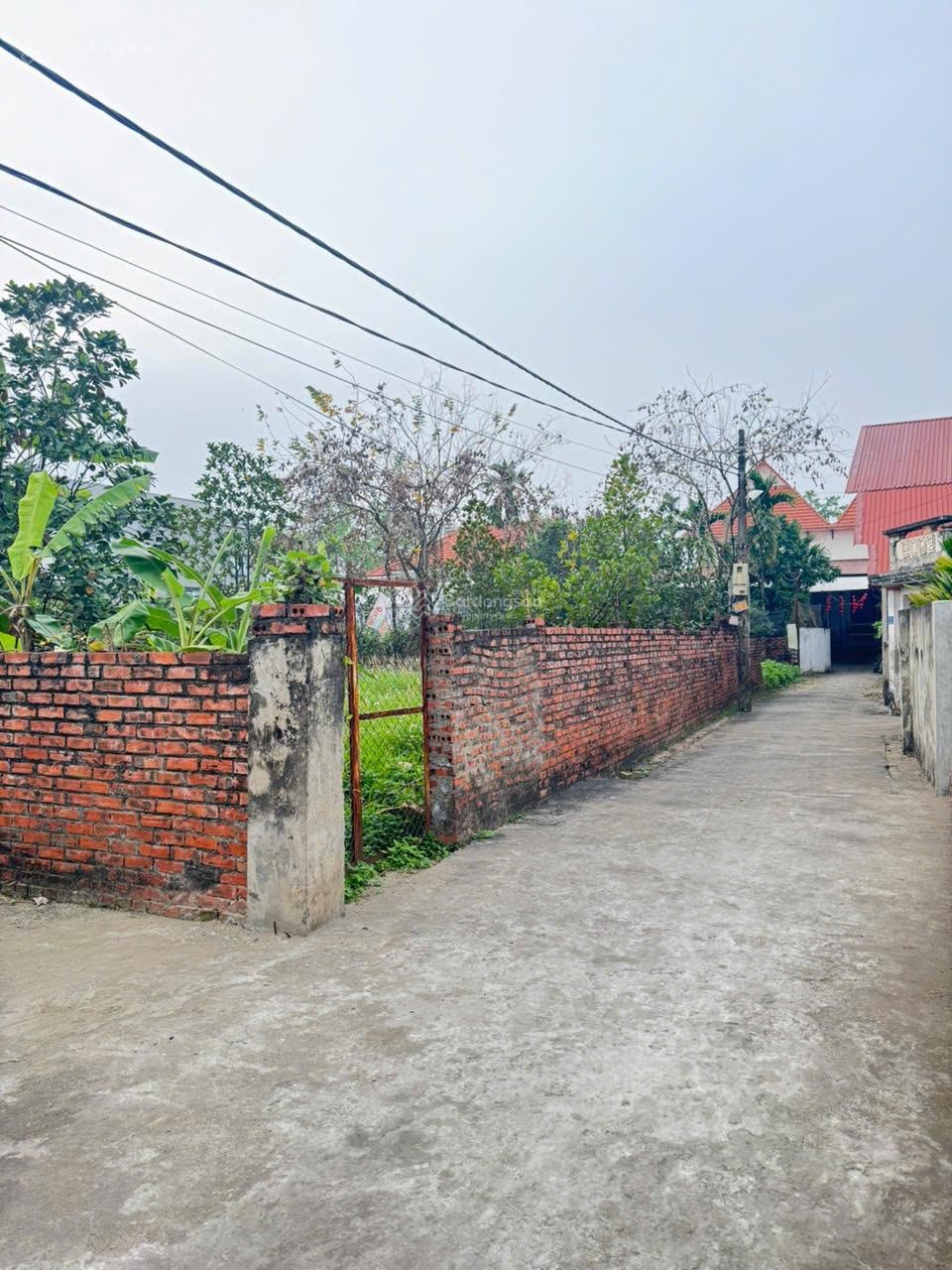 Cần bán 42m2 đất Ngọc Tảo, mặt tiền 4m, hướng Đông, giá chỉ 1.5 tỷ