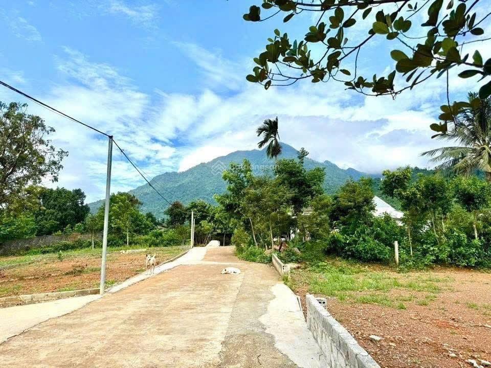 Giờ tìm đâu ra lô đất giá 6tr m2 hàng hiếm khó tìm