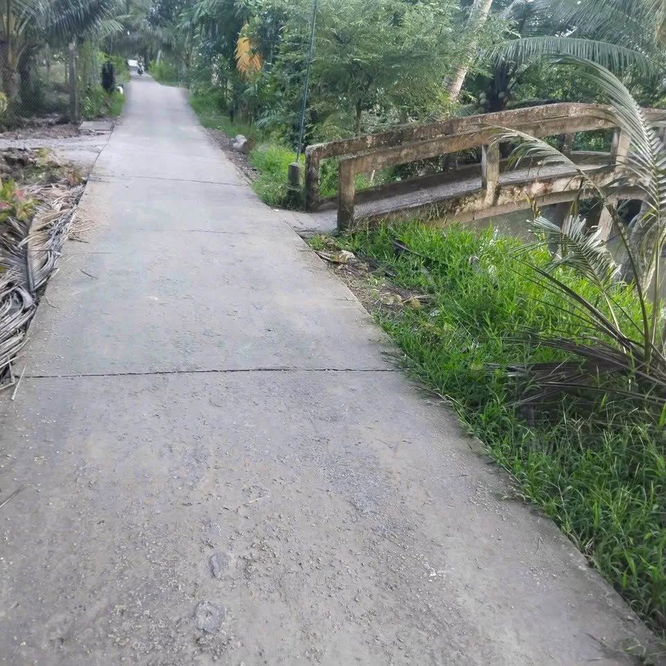 Bán đất tặng nhà cấp 4 ở ấp 5 Châu Bình, Giồng Trôm, Bến tre