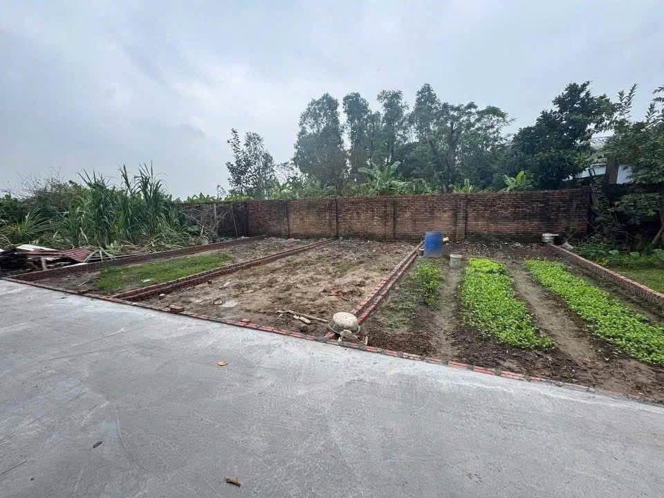 Bán đất tại Lạc Nông, Mai Đình, Sóc Sơn, đường trước đất rộng 3,5m, ô tô đậu cửa