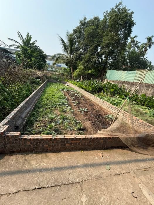 Bán đất huyện Thanh Trì, thành phố Hà Nội, giá 4 tỷ