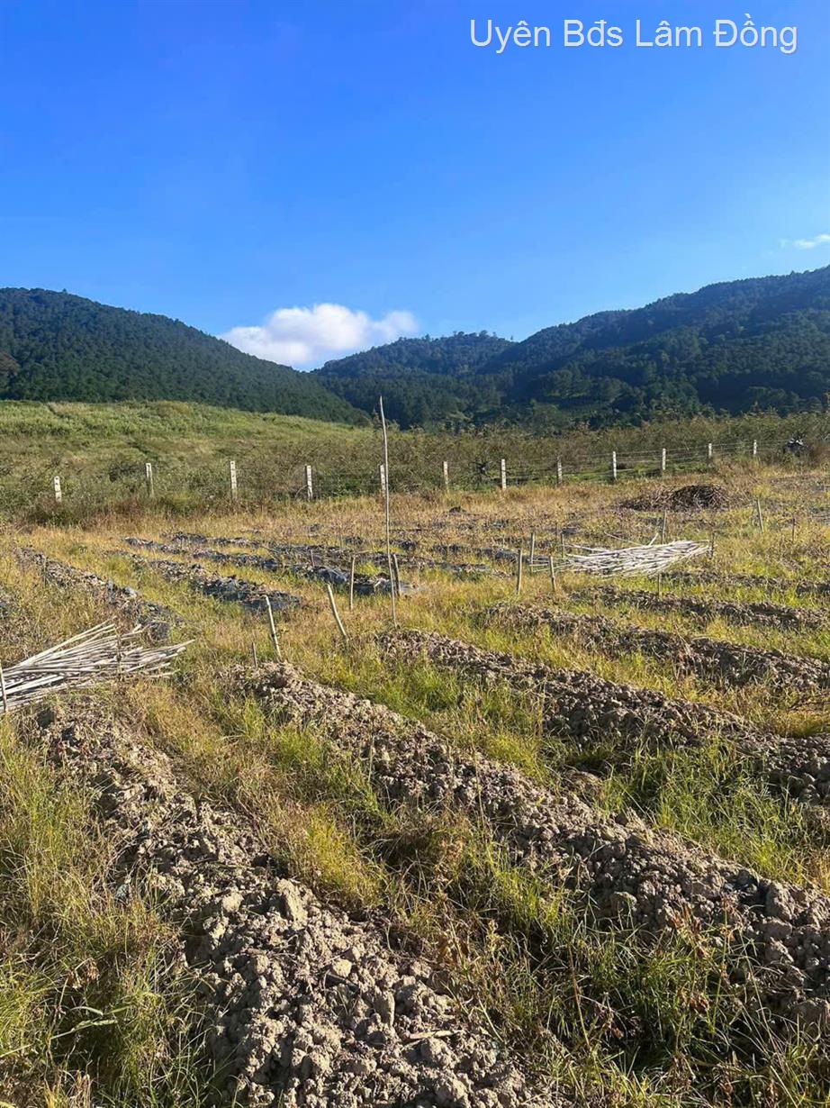 Bán kho bãi, nhà xưởng, khu công nghiệp huyện Đơn Dương, tỉnh Lâm Đồng, giá 850 triệu