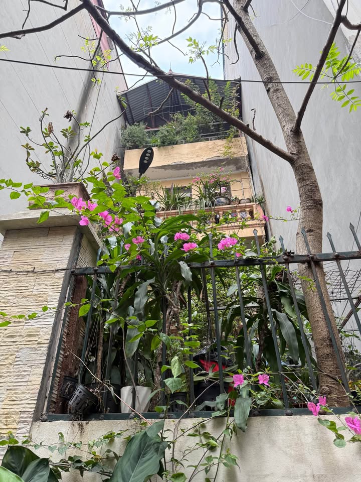 Bán nhà Lạc Long Quân, Tây Hồ, 115m2 x 4 tầng cũ, mặt tiền 5,6m, dân xây, giá 21,9 tỷ