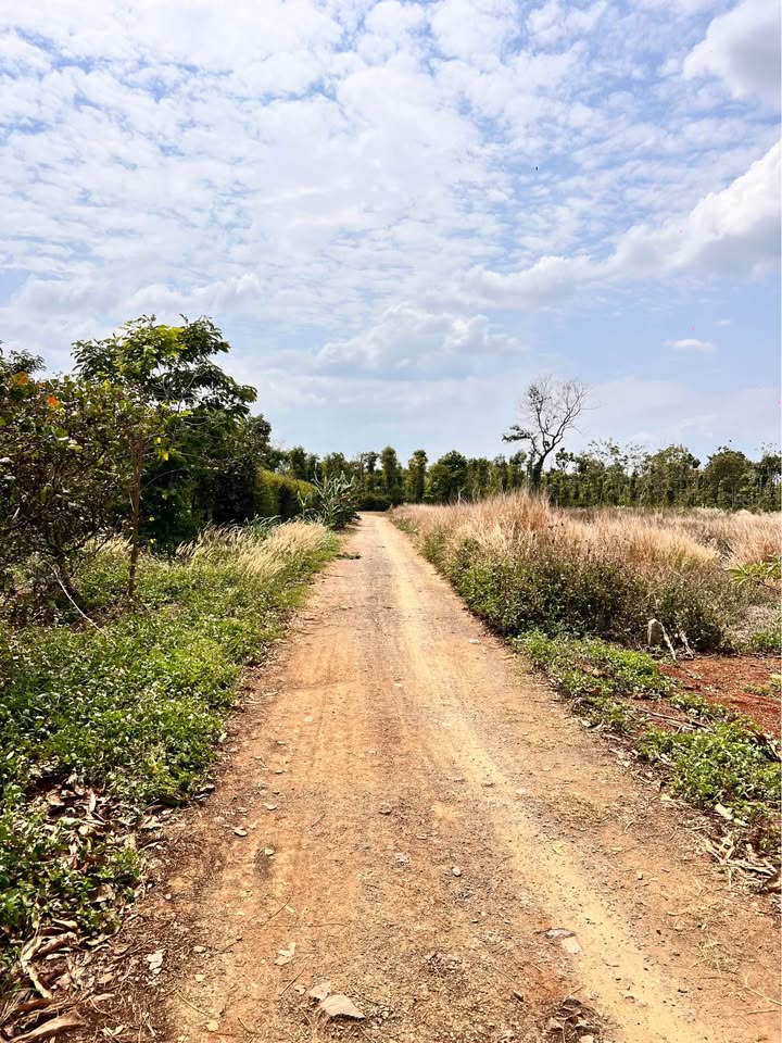 Bán nhà riêng thành phố Buôn Ma Thuột, tỉnh Đắk Lắk, giá 580 triệu
