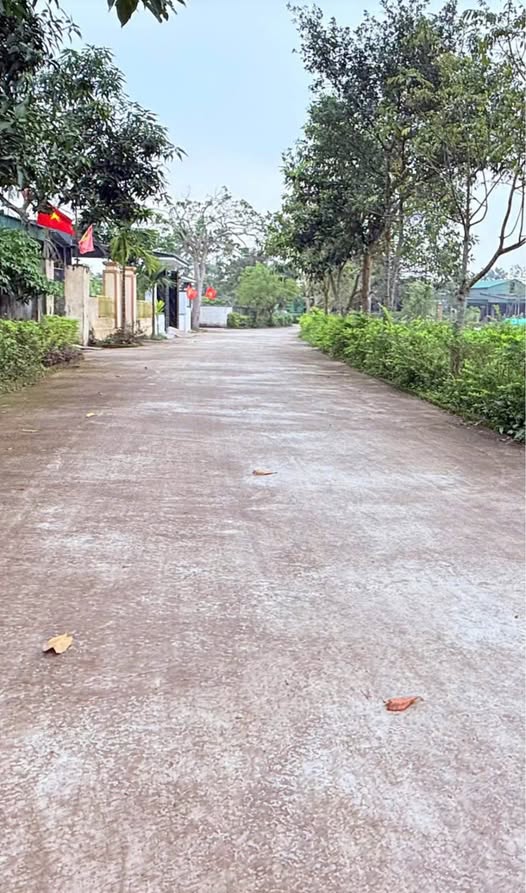 Bán đất tại thôn Thống Nhất, xã Thạch Đài, cách trường cấp 3 Lê Quý Đôn 500m