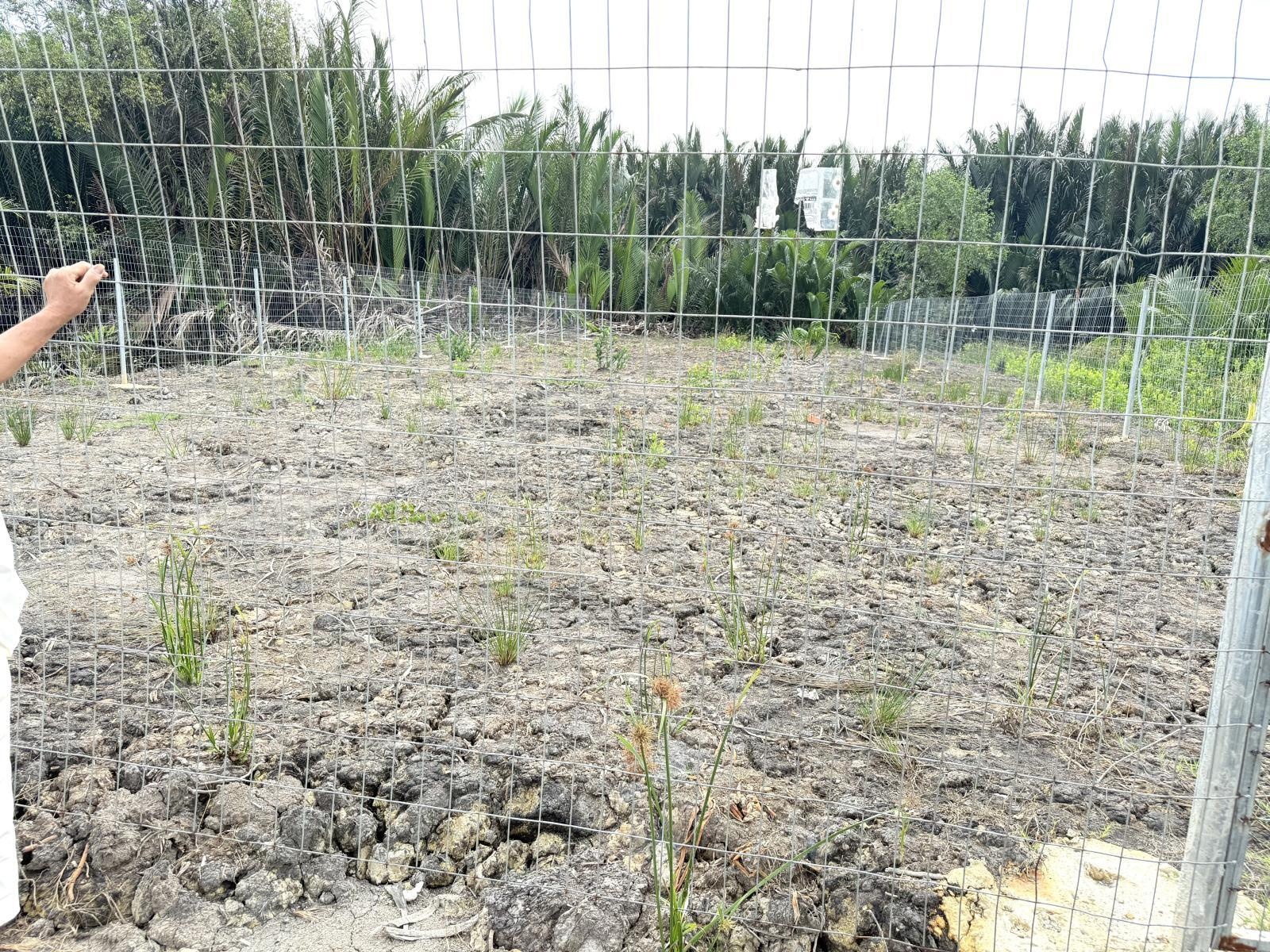 Cần bán 377m2 đất trồng cây lâu năm đường Liên ấp 2 - 3, xã Hiệp Phước, Nhà Bè giá 750 triệu