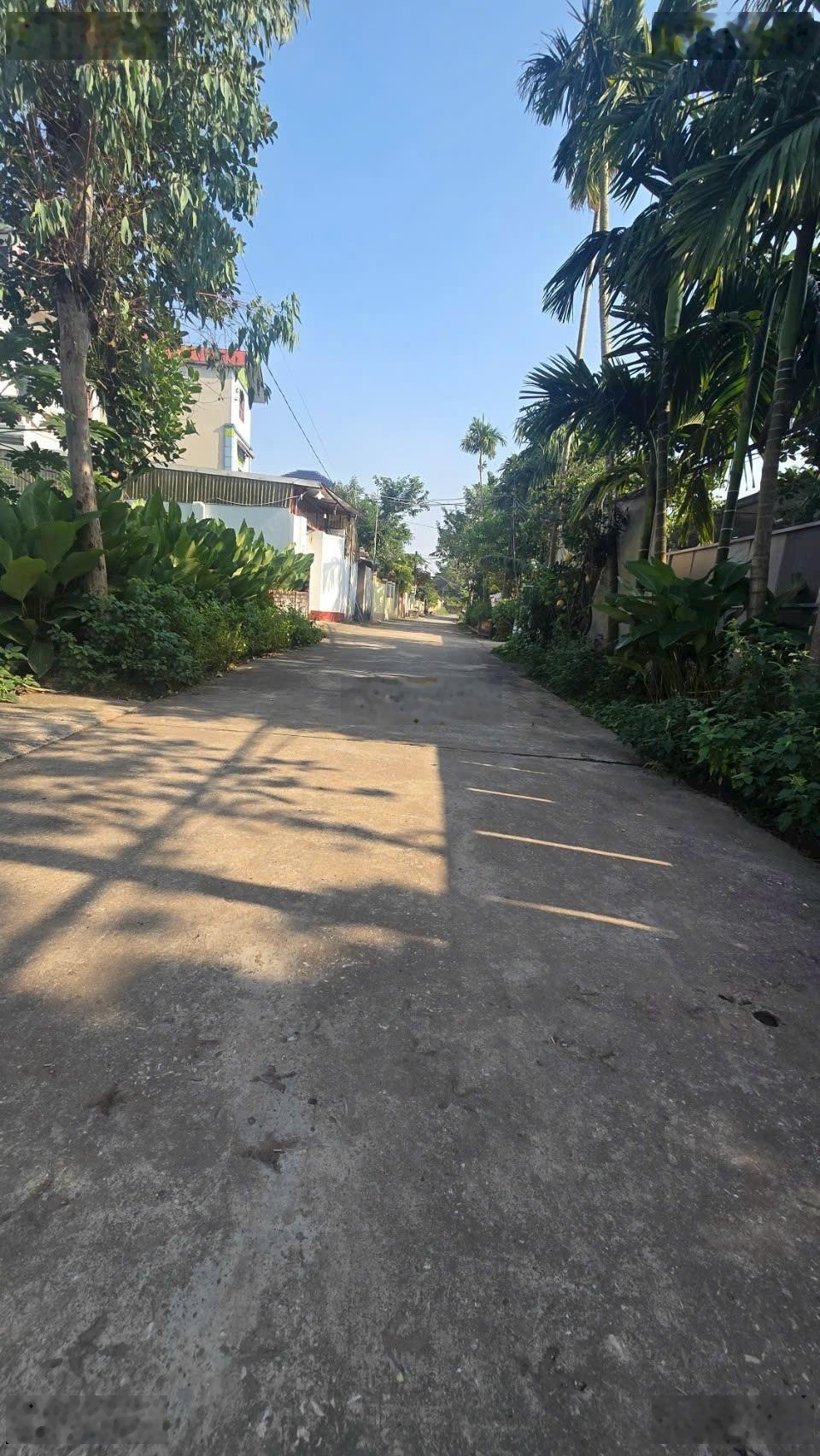 Đất thanh oai 76m ô tô vào đất mà giá chỉ hơn 1 tỷ.