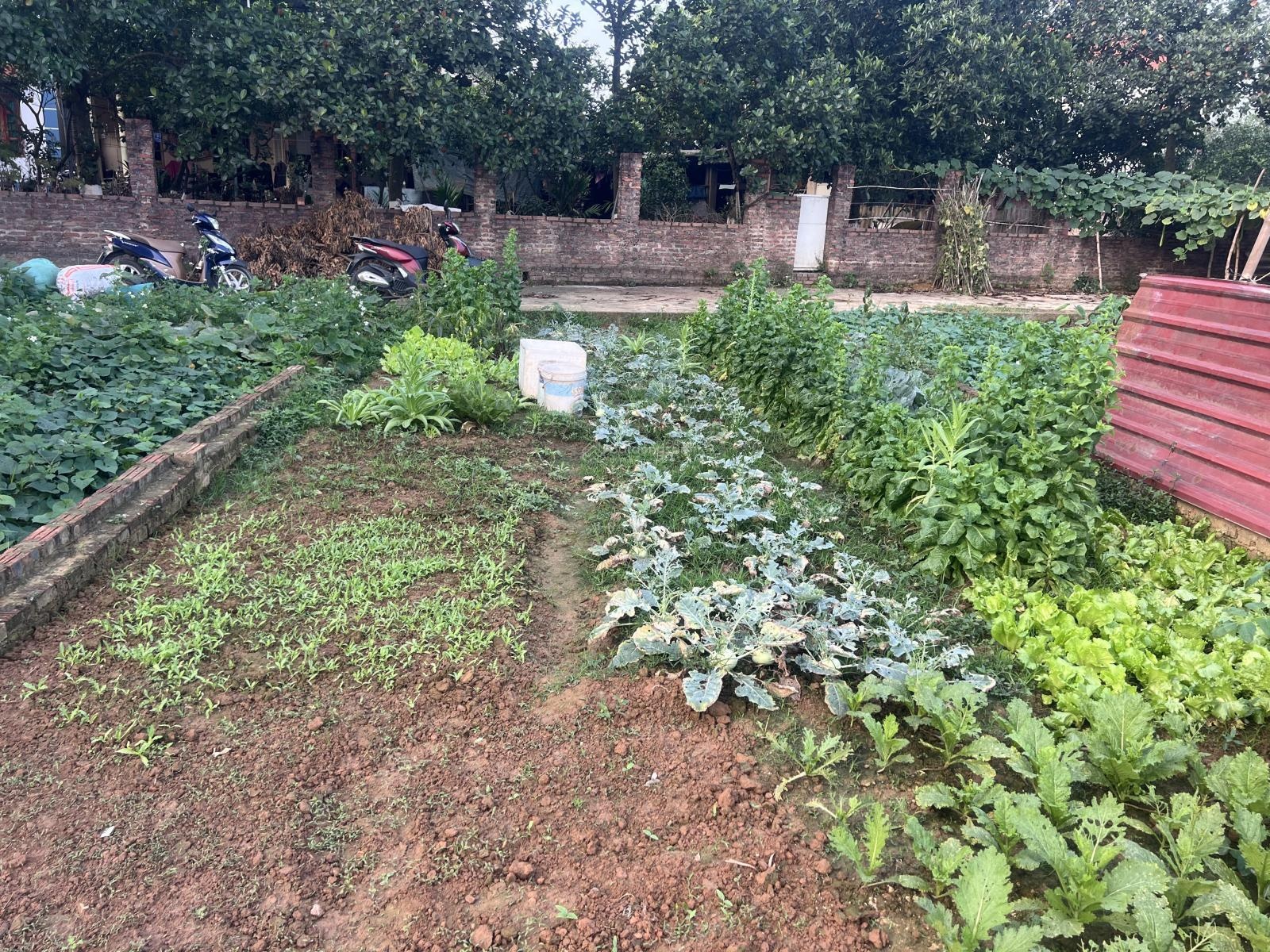 Bán 58m -Mt:5m giá chưa đến 2tỷ .Đồng Lạc -Tiên Dược -Sóc Sơn