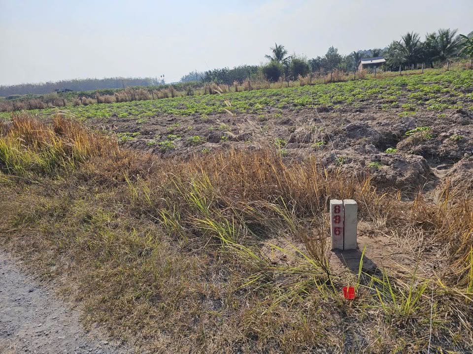 Bán đất thổ cư giá rẻ tại Thạnh Đức, Gò Dầu, Tây Ninh, giá 460 triệu