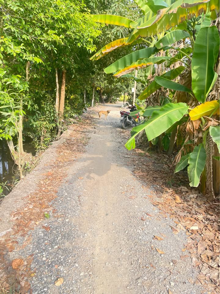 Bán đất huyện Đức Hòa, tỉnh Long An, giá 800 triệu