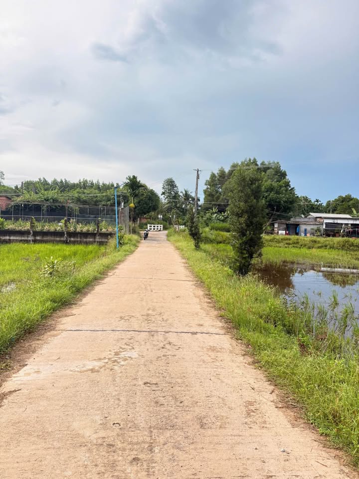 Bán đất huyện Tư Nghĩa, tỉnh Quảng Ngãi