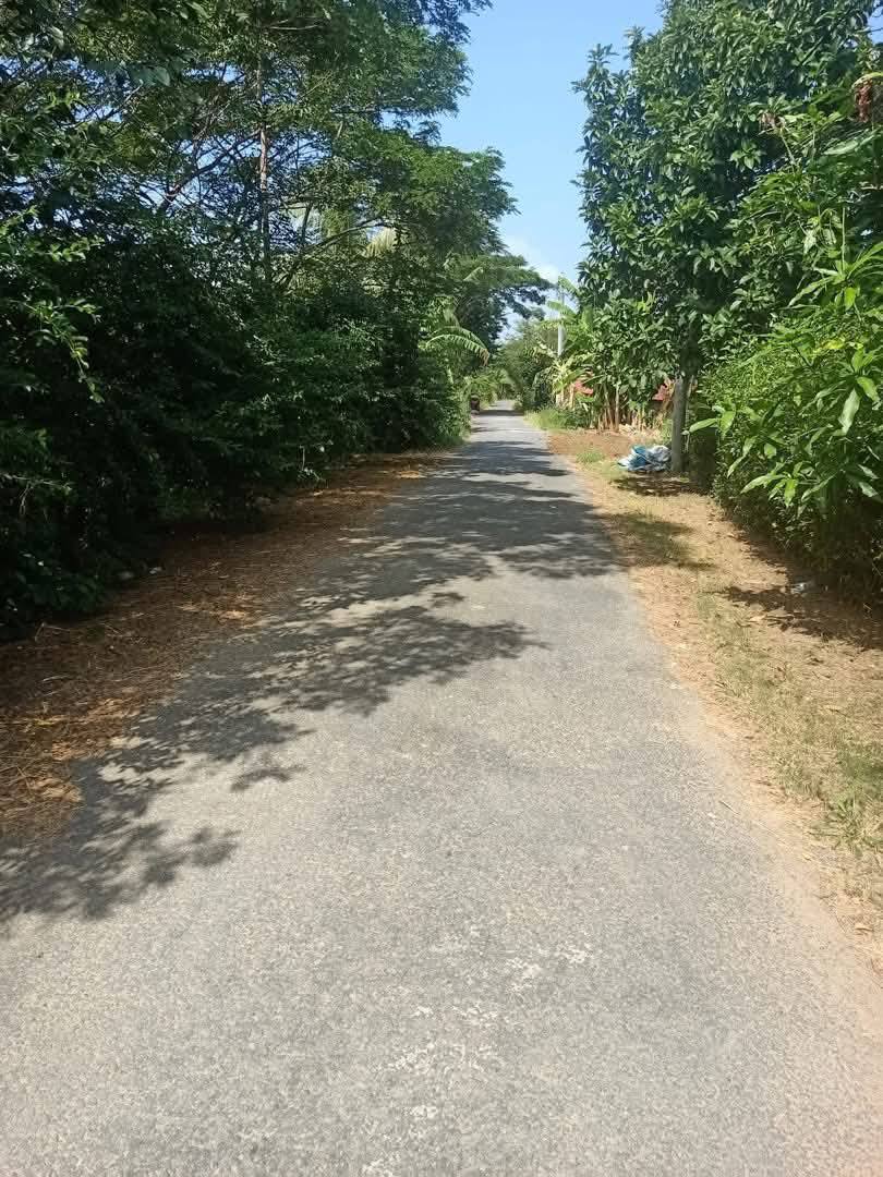 Bán đất mặt tiền lộ nhựa Mỹ Nhơn, Ba Tri, Bến Tre, giá 4 tỷ