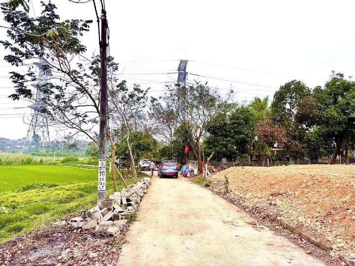 Bán đất 100m2, mặt tiền 5m tại Đại Đình, Tam Đảo, Vĩnh Phúc