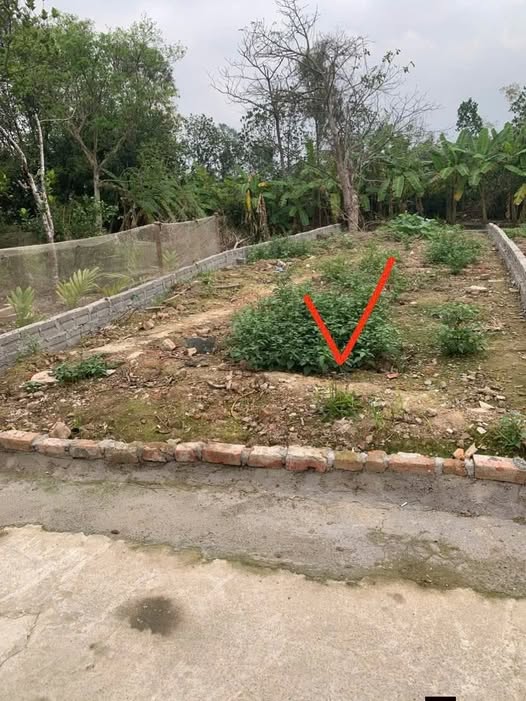 Bán đất huyện Bình Lục, tỉnh Hà Nam, giá 400 triệu