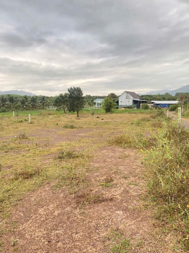 Bán đất thành phố Nha Trang, tỉnh Khánh Hòa, giá 590 triệu