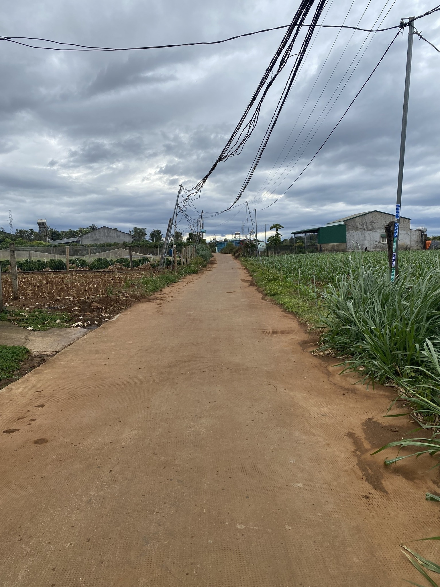 Cắt lỗ lô đất Tân Hội, Lâm Đồng, sổ riêng, giá 1,03 tỷ