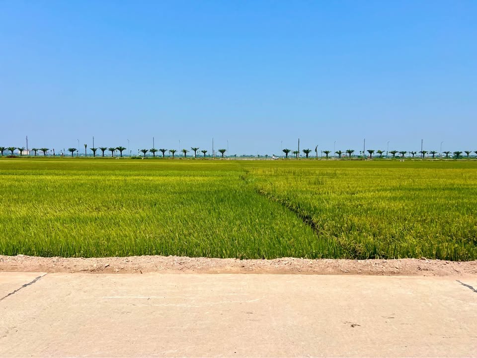 Siêu phẩm đất nền Triều Thuỷ, Huế, view đồng ruộng, hướng Võ Văn Kiệt