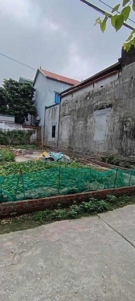 Bán gấp đất Mỹ Lương, Chương Mỹ, 92m², giá 1,65 tỷ