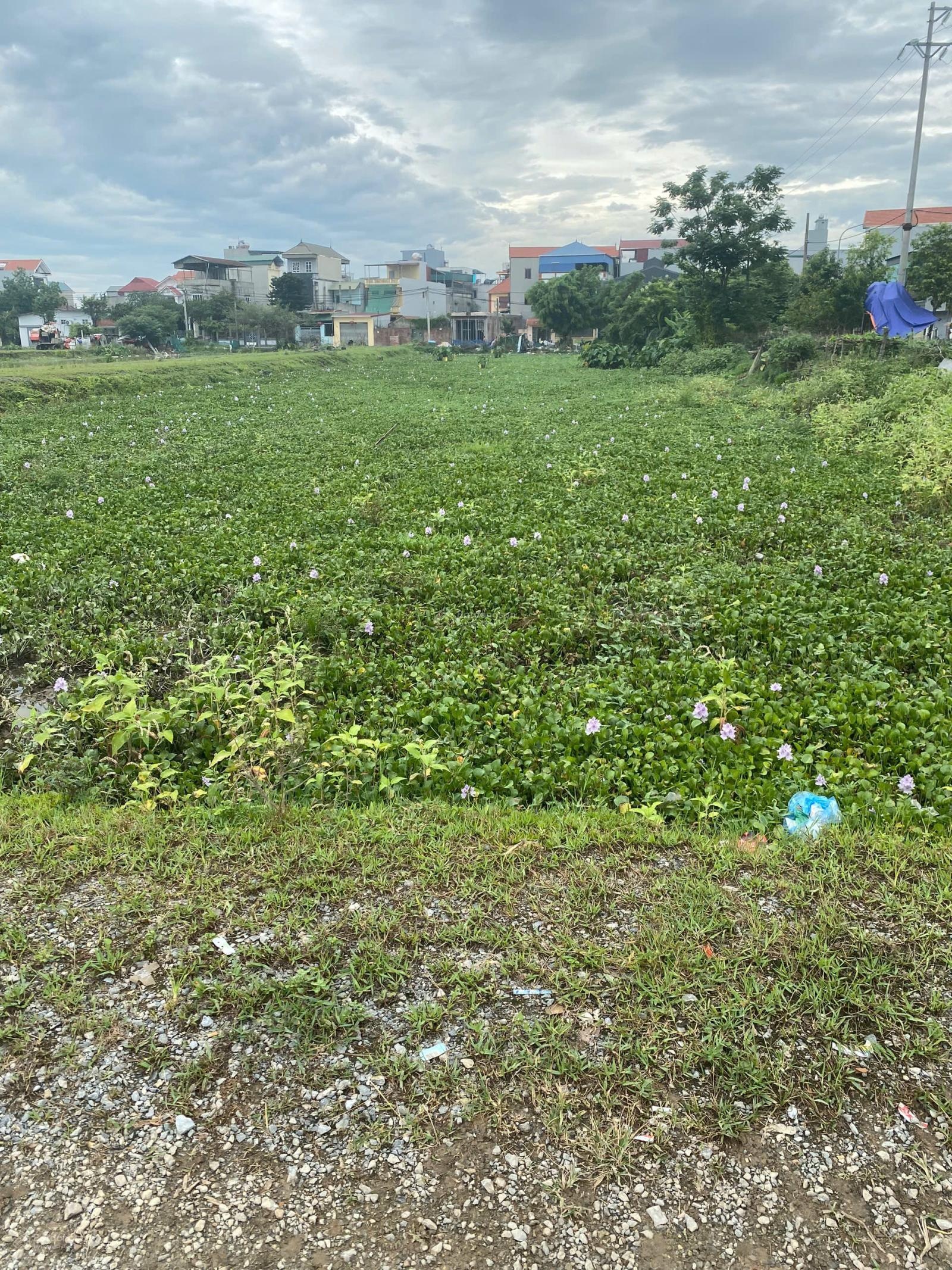 Bán đất dịch vụ giãn dân - Thạch Bích, Xã Bình Minh, Thanh Oai - giá chỉ 1.950 tỷ