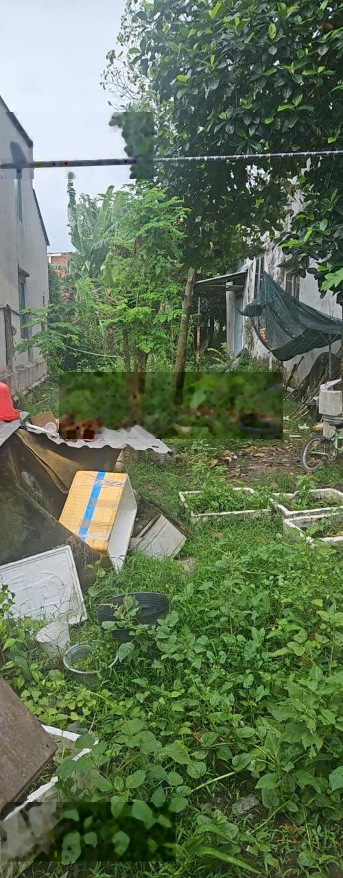 Duy nhất bán nhanh lô đất Xã Tân Thông Hội, 208m2, SHR, 880tr