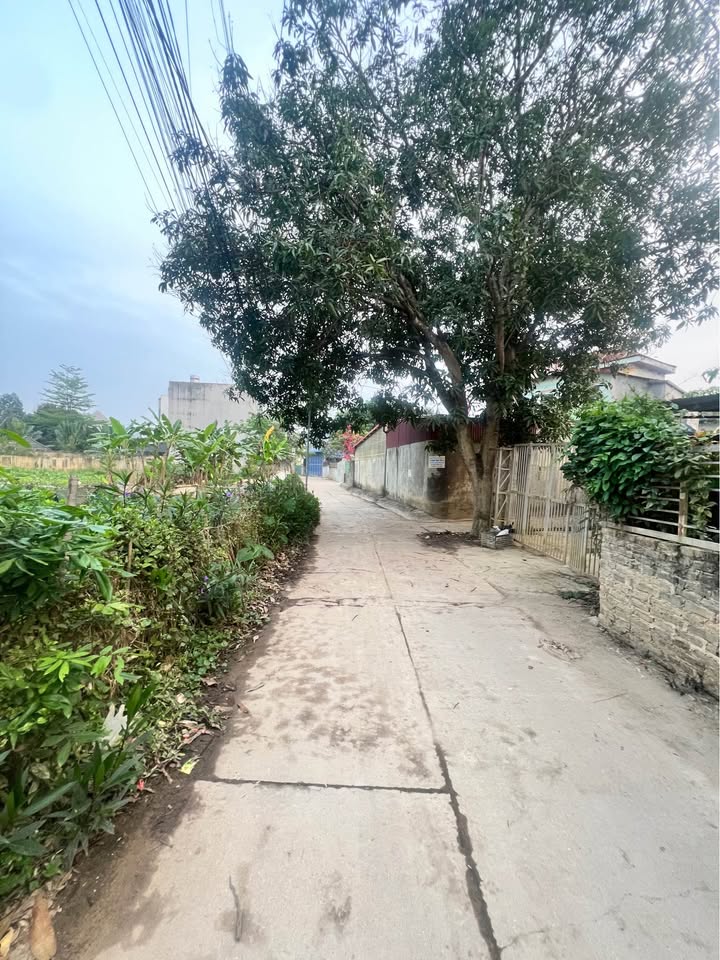 Bán đất Gia Sàng, Thái Nguyên, giá đầu tư