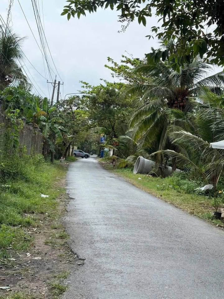 Bán đất mặt tiền Lộ Nhà Việc, phường An Hội, Vĩnh Long mới, giá 4.5 triệu/m2