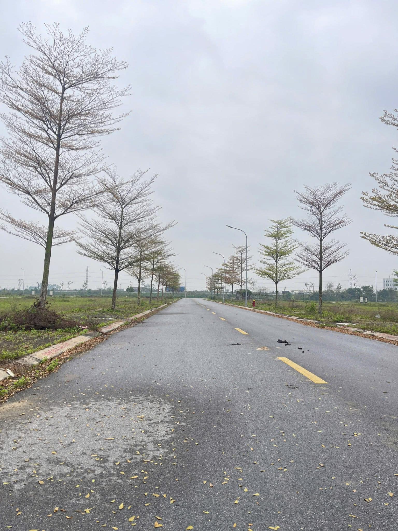 Bán lô đất tại khu đô thị Đông Yên, Đông Phong, Bắc Ninh