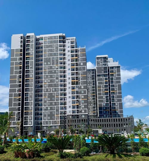 Bán đất mặt tiền đường Số 5, Quy Nhơn, 110m2, hướng Đông Bắc