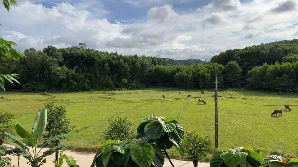 Bán đất view đồi nùi, đồng ruộng thơ mộng tại Thủy Bằng, Huế