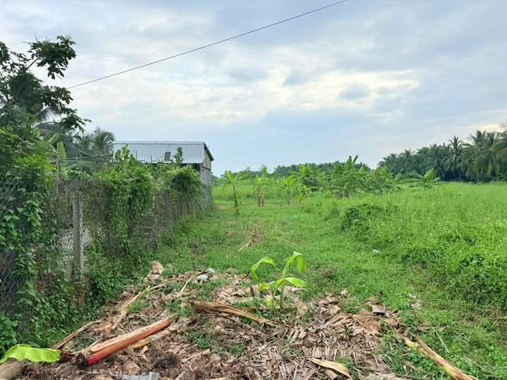 Bán đất Phú Tân, Bến Tre cũ, quy hoạch đất ở, giá 690 triệu