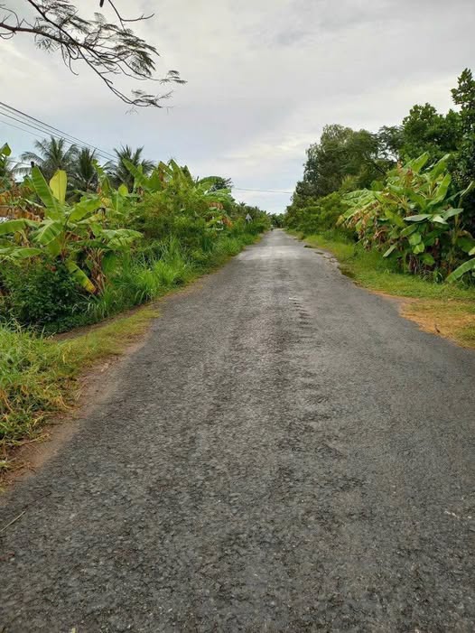 Bán đất view sông, 22 công, có xưởng sẵn, giá 19 tỷ tại Giồng Trôm, Bến Tre cũ