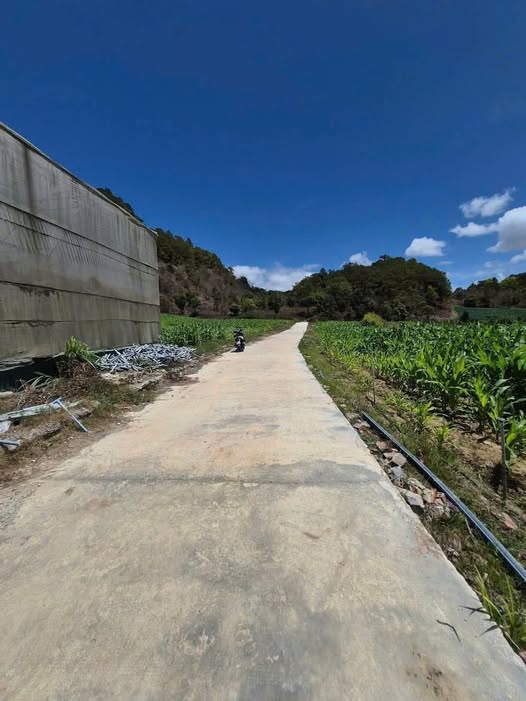 Bán đất huyện Đơn Dương, tỉnh Lâm Đồng, giá 4,6 tỷ