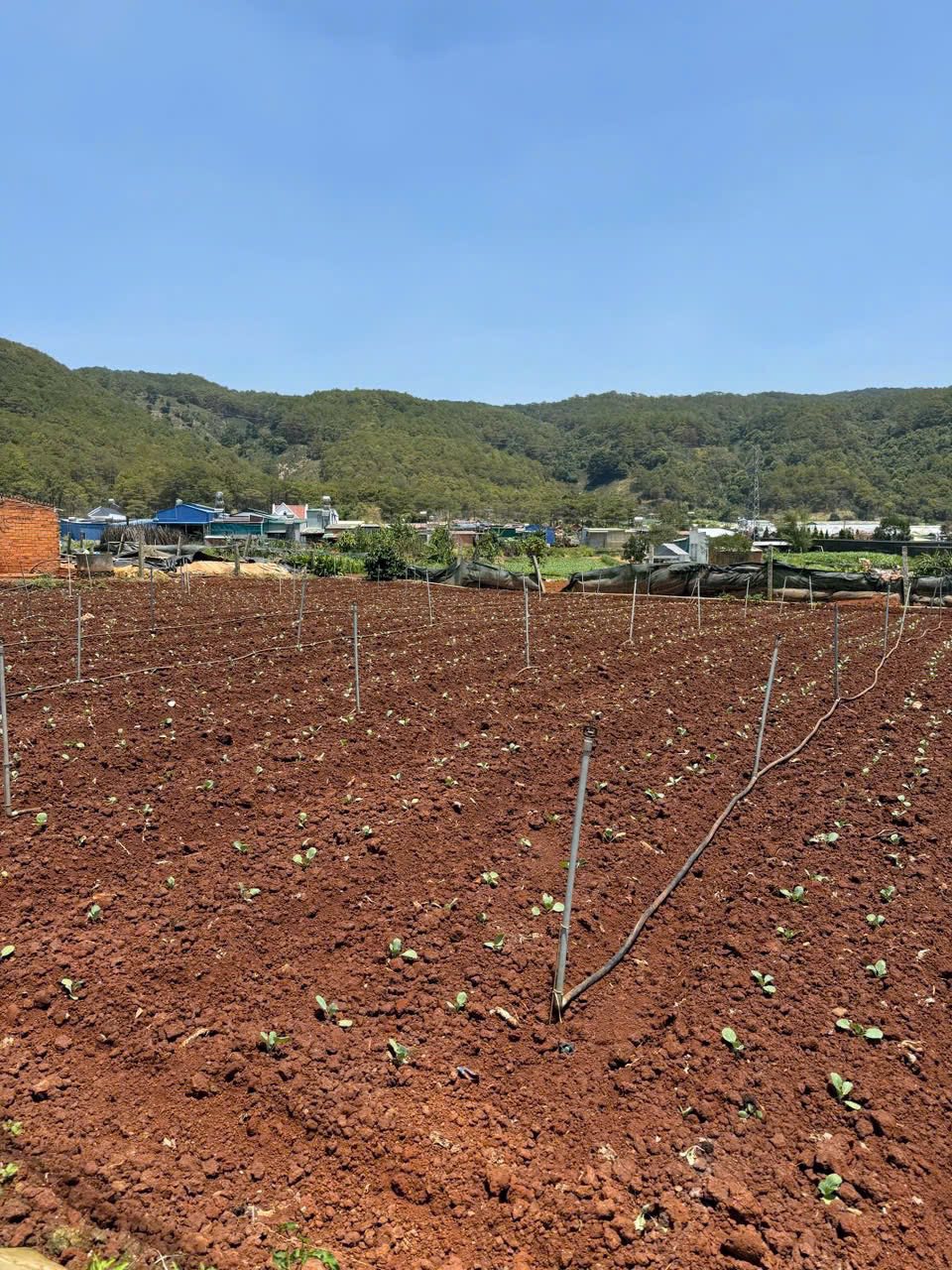 Bán nhanh lô đất gần Đà Lạt, chỉ 699 triệu tại Đơn Dương, Lâm Đồng