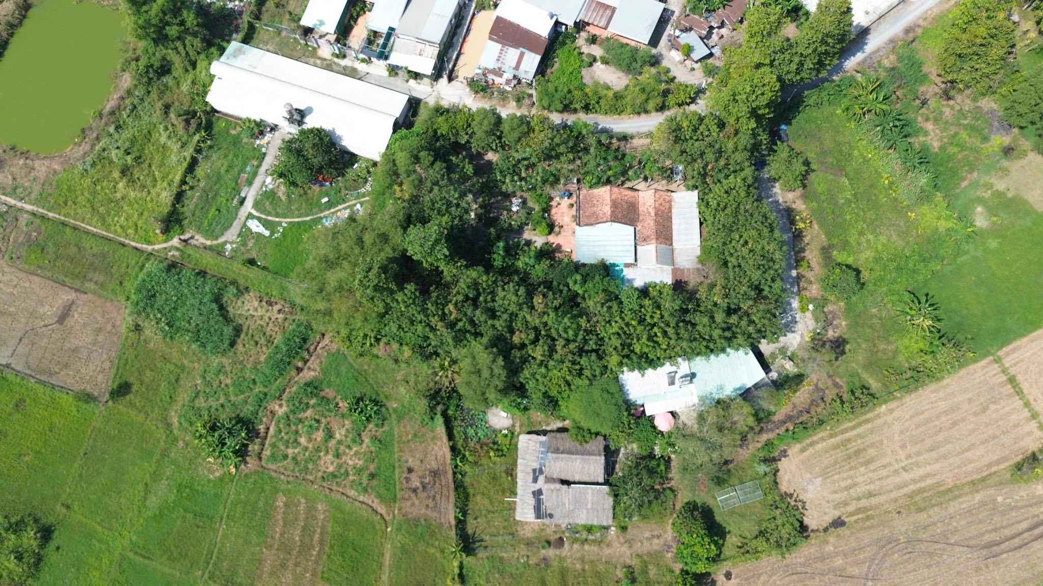 Bán nhà vườn tại Tân An Hội, Củ Chi, giá 7.8 tỷ