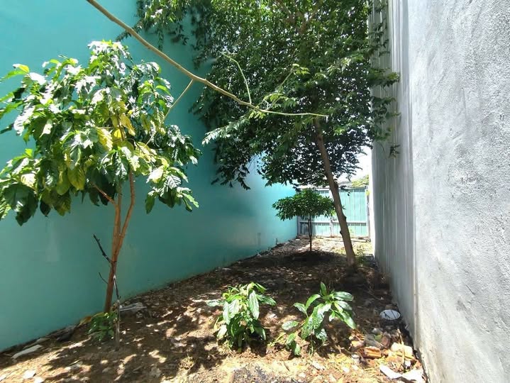 Bán đất thành phố Vũng Tàu, tỉnh Bà Rịa, Vũng Tàu, giá 4,35 tỷ