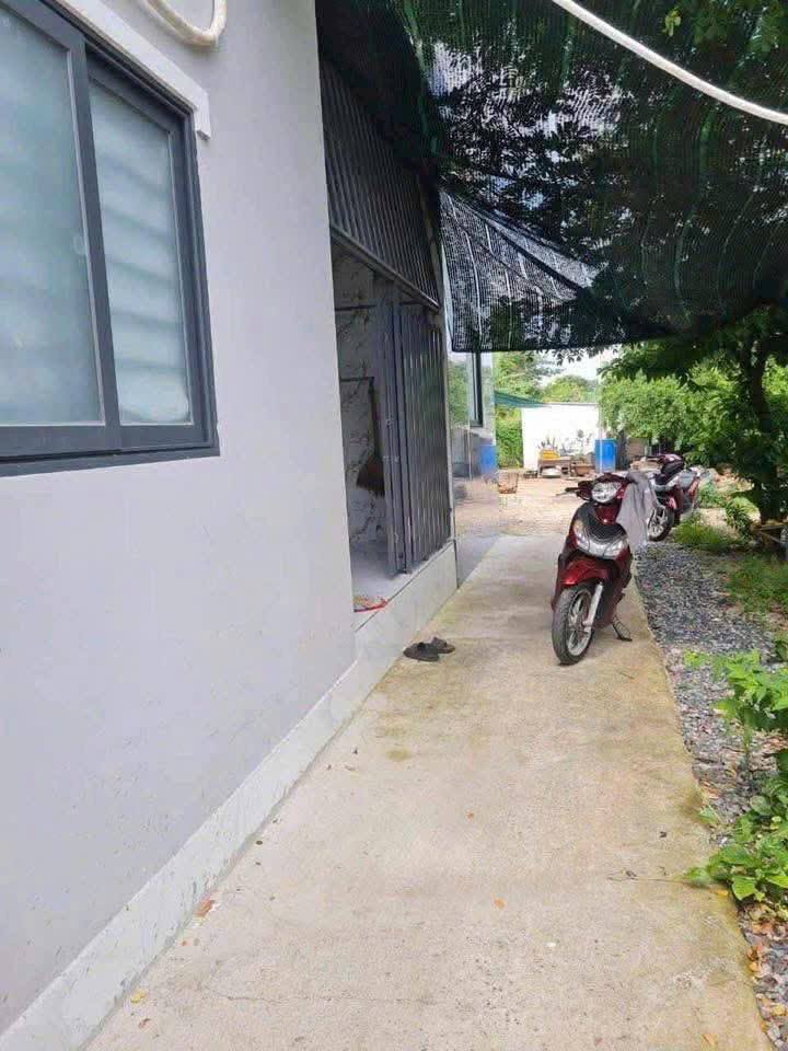 Bán nhà riêng huyện Long Điền, tỉnh Bà Rịa, Vũng Tàu, giá 750 triệu