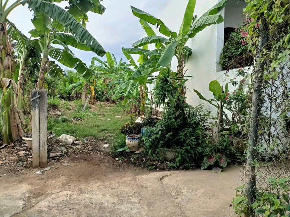 Bán đất vàng Diên Khánh, 92m2, ô tô vào tận nơi, giá chỉ 850 triệu