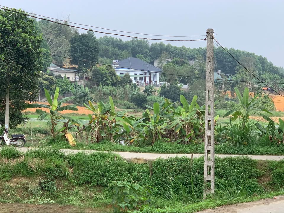 Bán khu nhà vườn rộng đẹp tại xóm 2 Trung Môn, phường Minh Xuân, Tuyên Quang, giá 5.2 tỷ