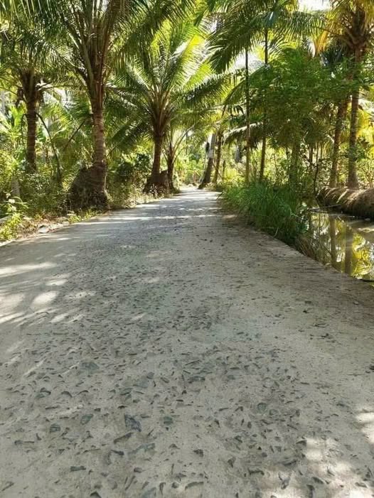 Bán mảnh đất 6219m2, 2 mặt tiền, cây lâu năm, có 300m2 thổ cư tại Tân Thạch, Châu Thành, Bến Tre cũ