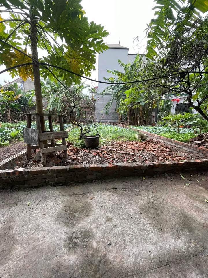 Bán đất đẹp tại Dương Quang, Gia Lâm, 70m2, giá tốt cho nhà đầu tư