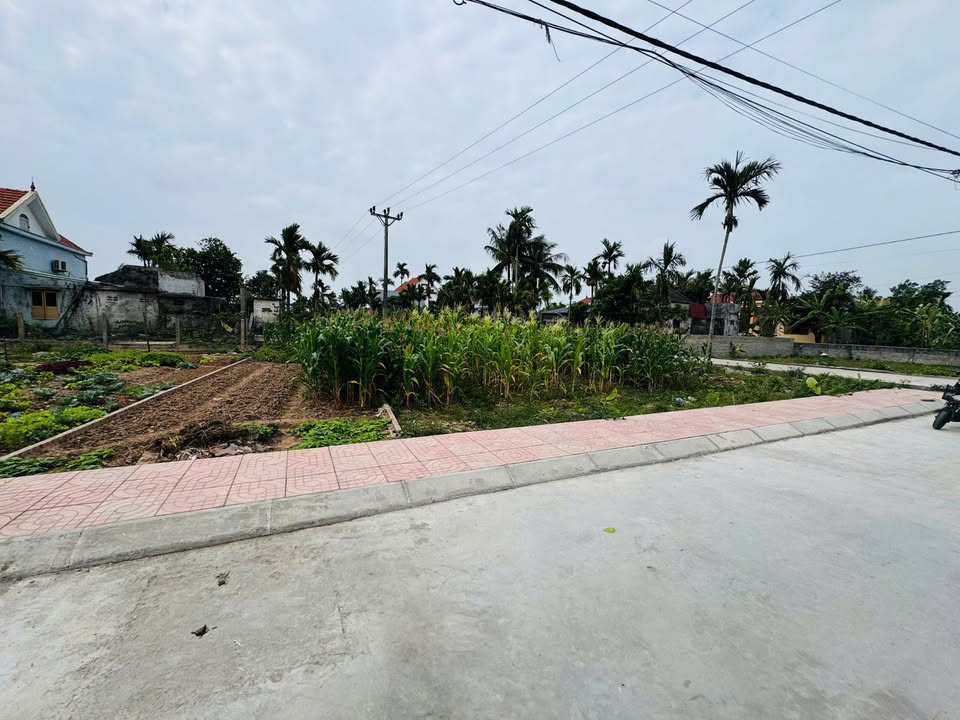 Bán nhà vườn 360m2 tại thôn Kính Trực, giá chỉ 1.9 tỷ