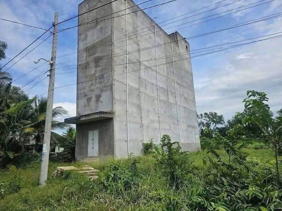 Chủ gửi bán gấp nhà nuôi yến tại ấp 8, xã Nhựt Chánh, Bến Lức, Long An, giá 4 tỷ